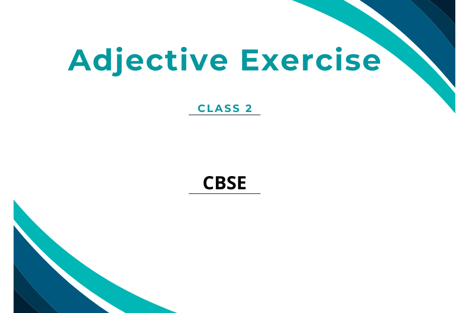 adjective-exercise-for-class-2-with-answers-seg