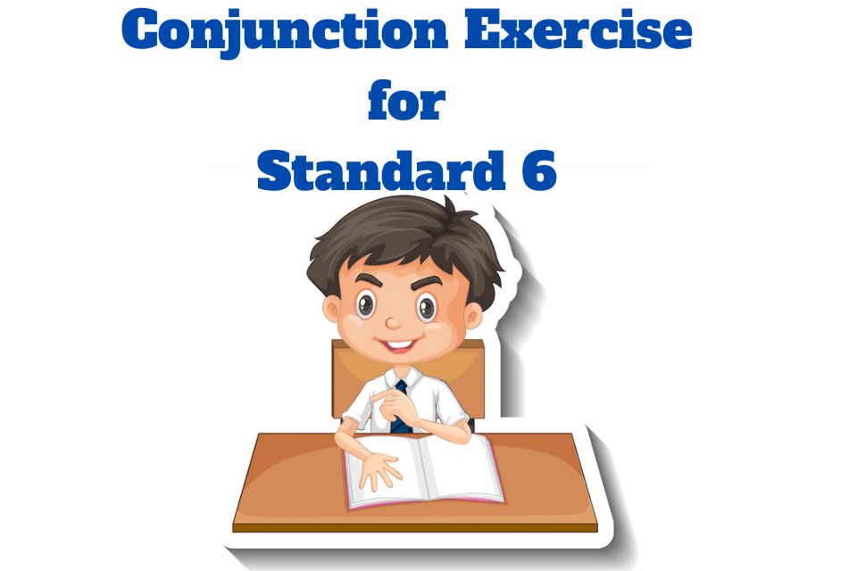 Conjunction Online Exercise for Standard 6